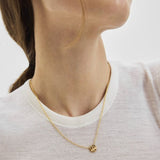 Dot kaulakoru, Silver