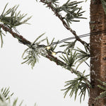 Lene Bjerre - Pinea joulukuusi led-valoilla