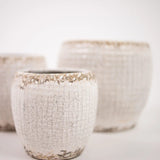 Catarina ruukku 11,5cm