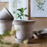 Bergs Potter ruukku Flora RAW grey