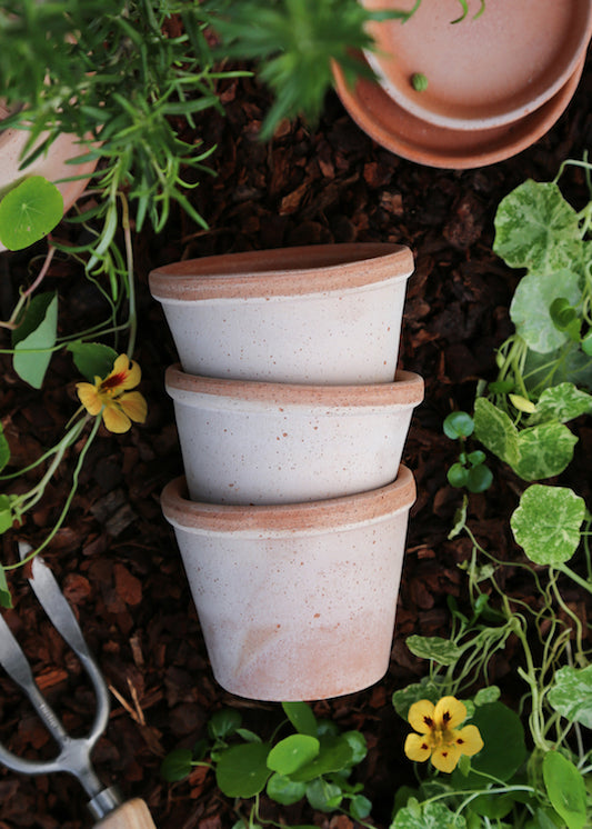 Bergs Potter - ruukku Parade RAW Rosa