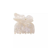 Hainhammas Butterfly, Ivory