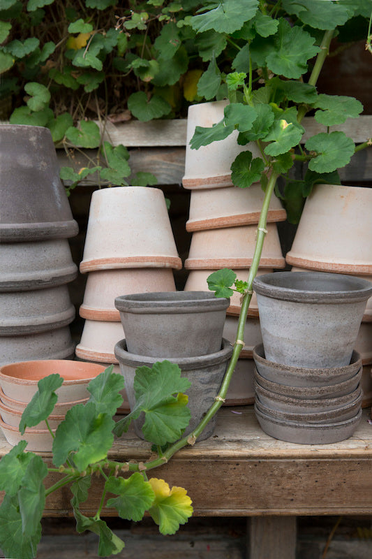 Bergs Potter - ruukku Parade RAW Rosa