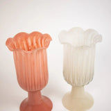 Tulipa vaasi, Off White
