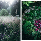 Nordic Summer Cook Book