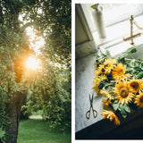 Nordic Summer Cook Book