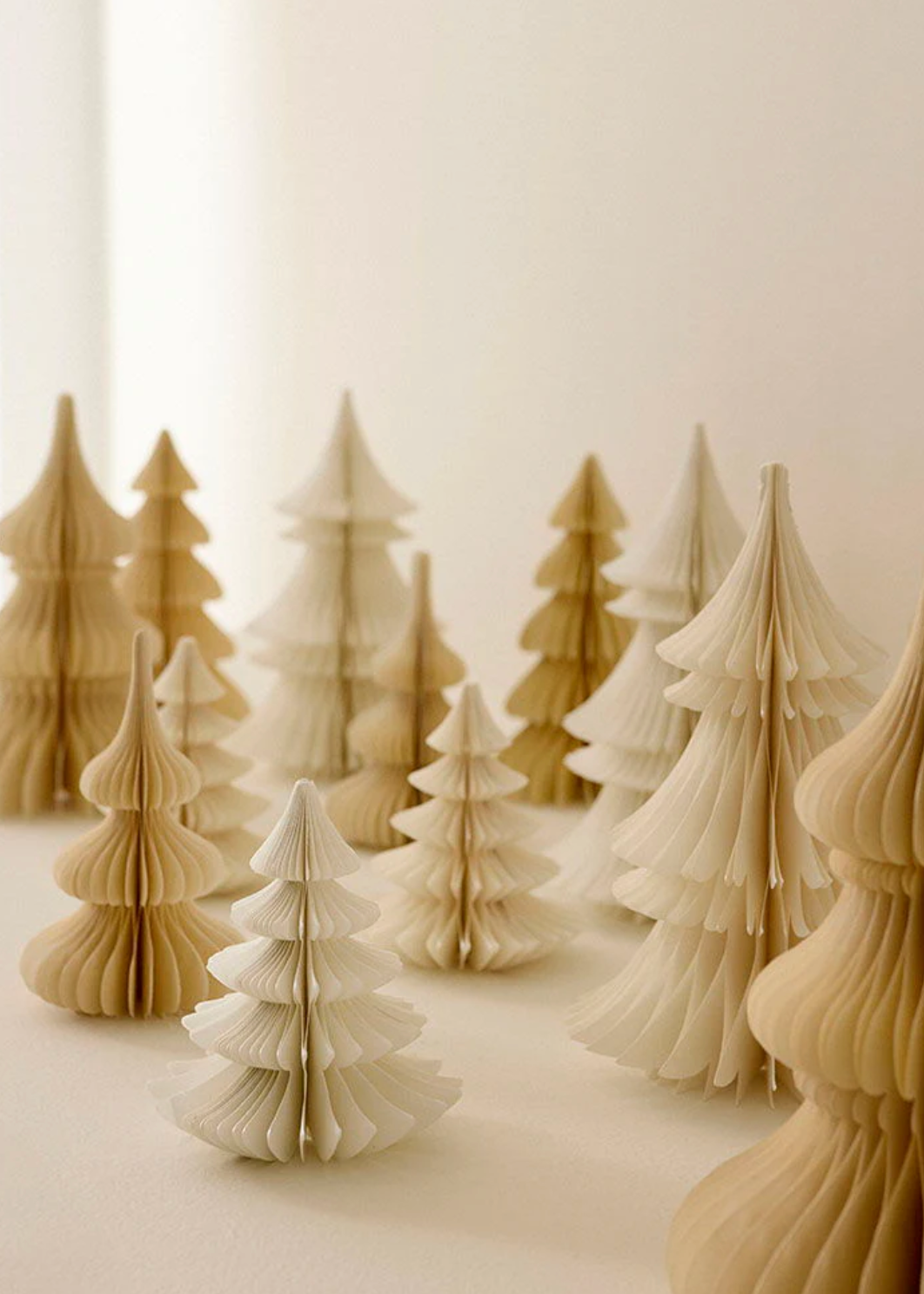 Honeycomb Tree Spruce H20cm Shell