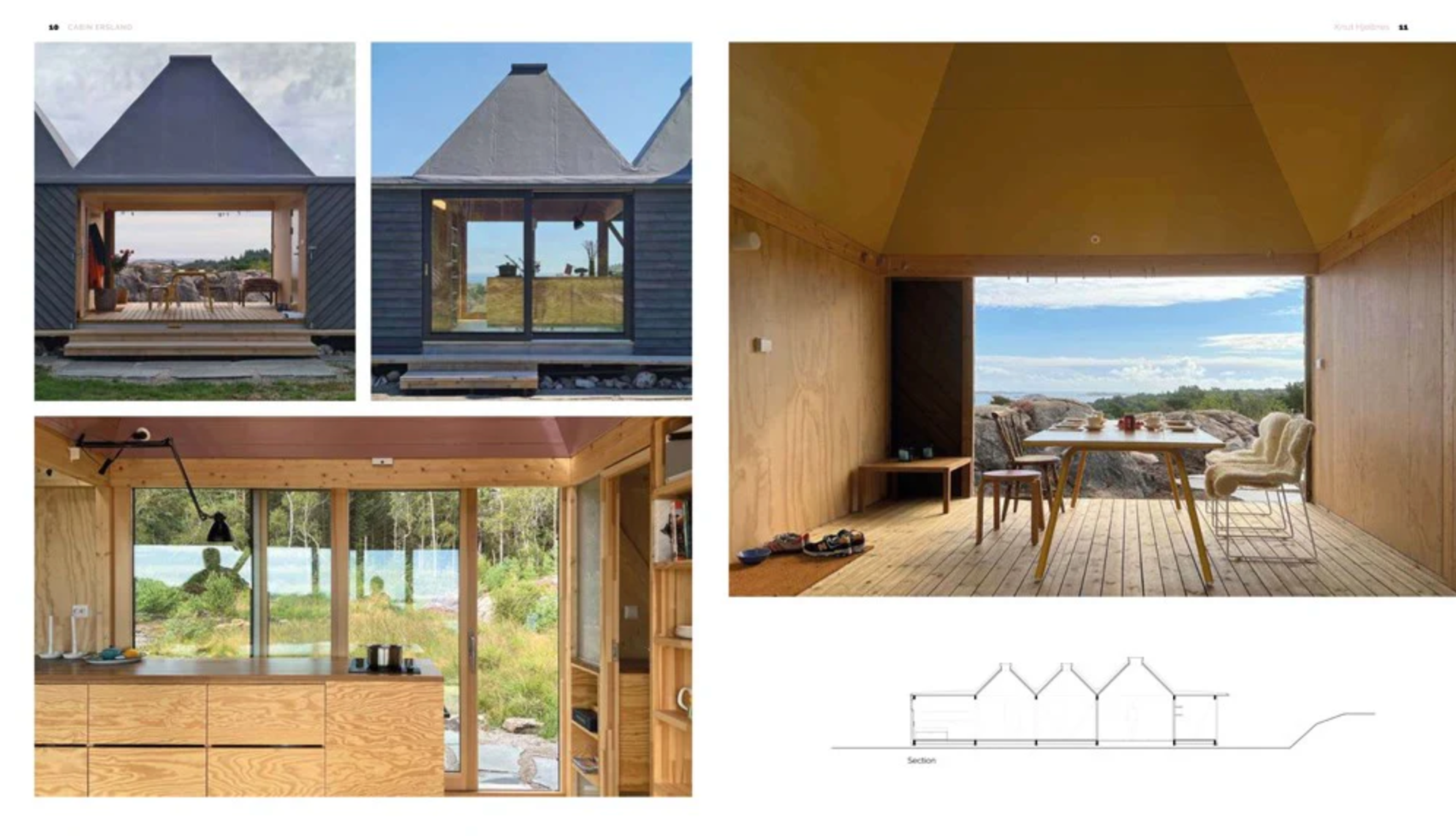 Wood - Cozy Interiors for Timeless Living Spaces kirja