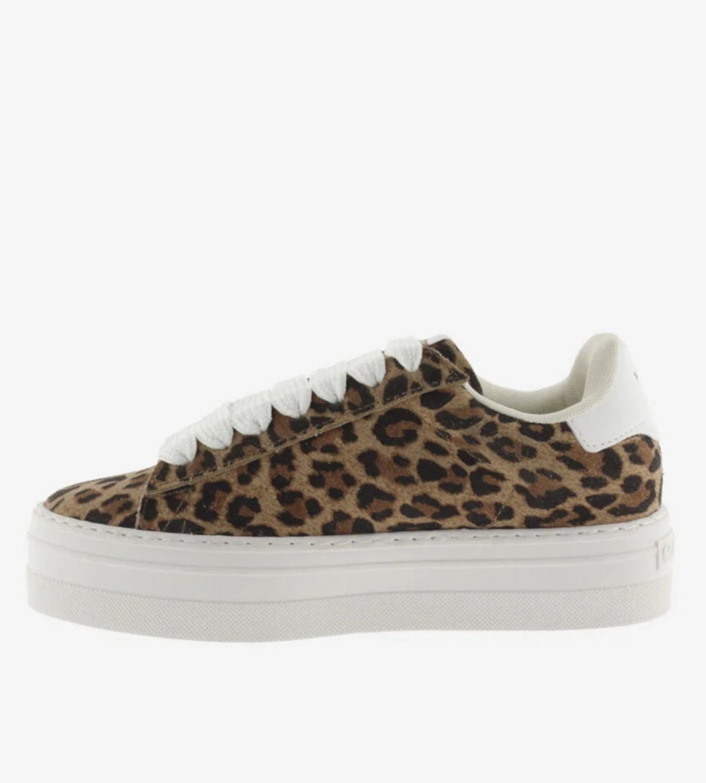 Barcelona Platform tennarit, Leopard