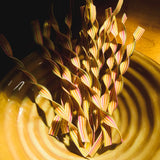 Solveig salaattikulho, Mustard