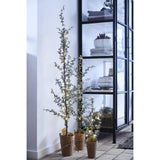 Lene Bjerre - Pinea joulukuusi led-valoilla