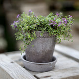 Flora RAW Ø18cm, Grey