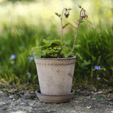 Flora RAW Ø18cm, Grey